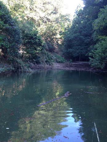 2014_08_27.02.jpg