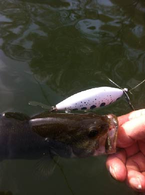 test_fishing.13_04_05.004.jpg